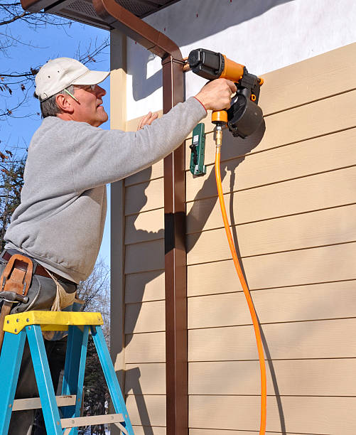 Affordable Siding Repair and Maintenance Services in Allison, IA